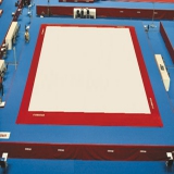 Competition exercise floor FIG approved