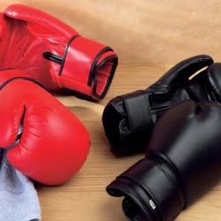 Boxing gloves leather 317